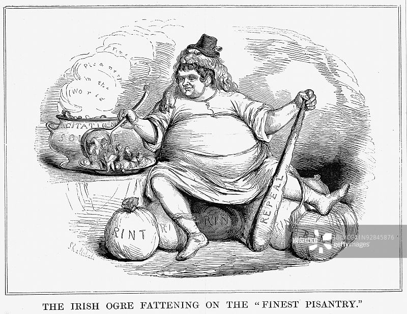 丹尼尔·奥康奈尔的政治漫画图片素材