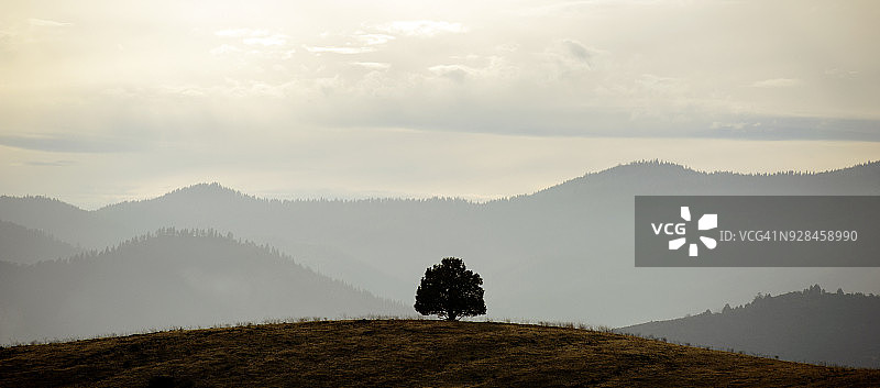 美国俄勒冈州梅德福附近的树木和乡村景色图片素材