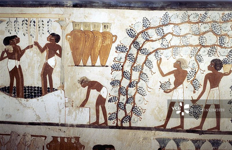 埃及底比斯，书记员门纳墓的墙壁画图片素材