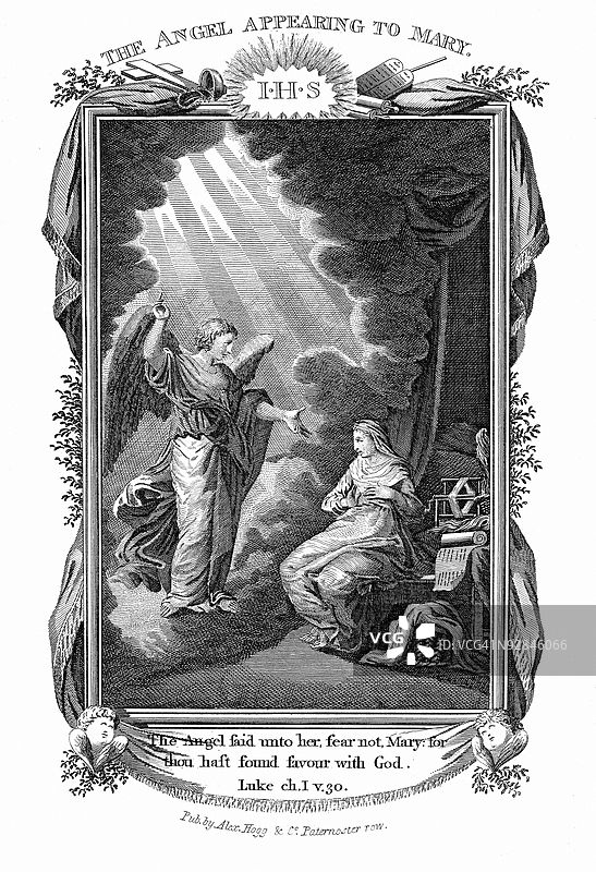 报喜之兆图片素材