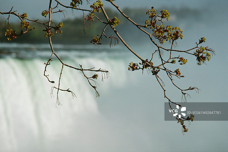 加拿大的尼亚加拉瀑布图片素材