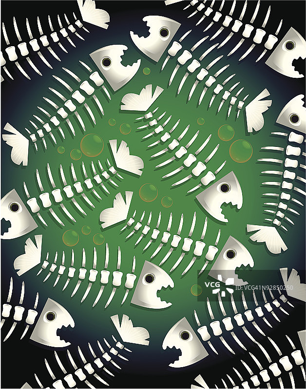 鱼骨骼图片素材