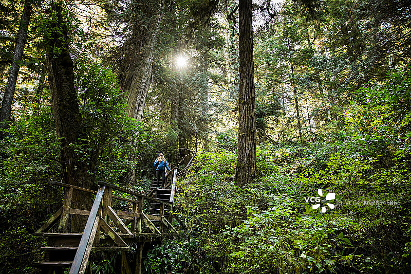 在树林中徒步旅行的年轻女人图片素材