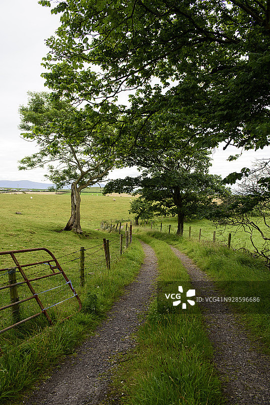 爱尔兰凯里郡丁格尔的乡村风光图片素材