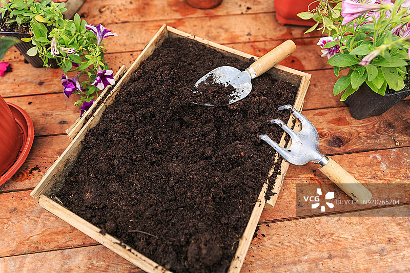 园丁种植春季花卉图片素材