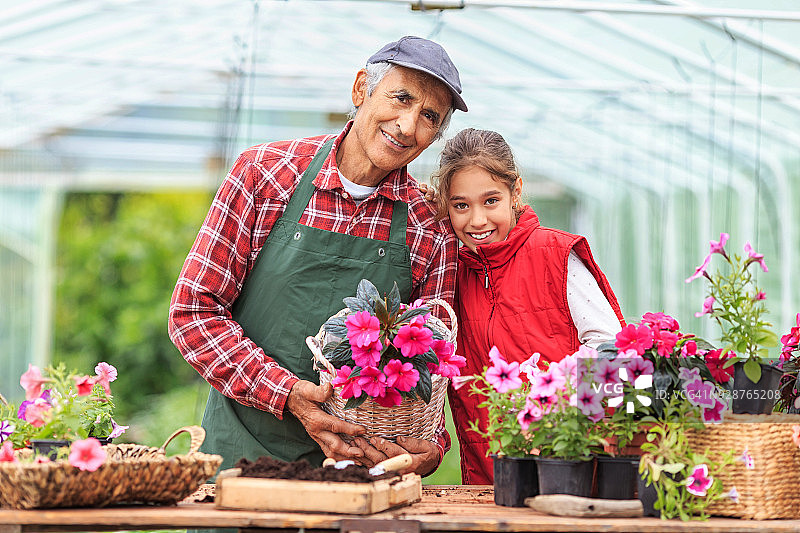 小女孩和爷爷一起在花盆里种花图片素材