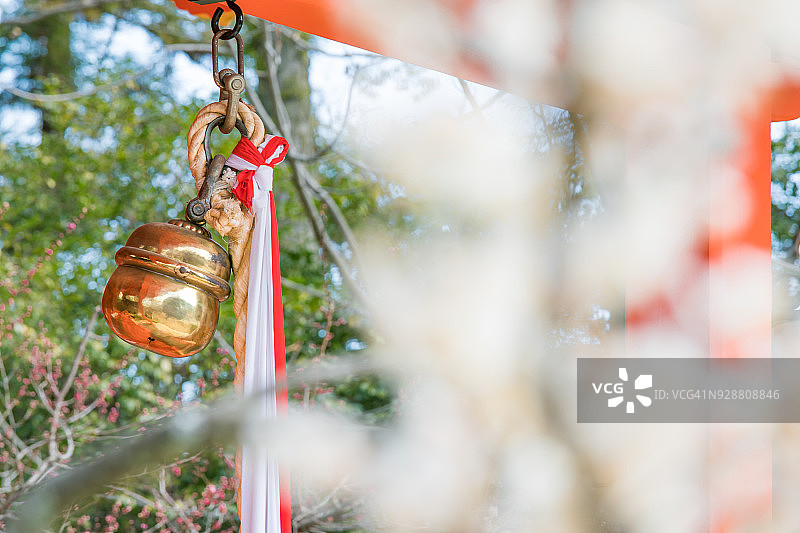 京都盛开的梅花图片素材