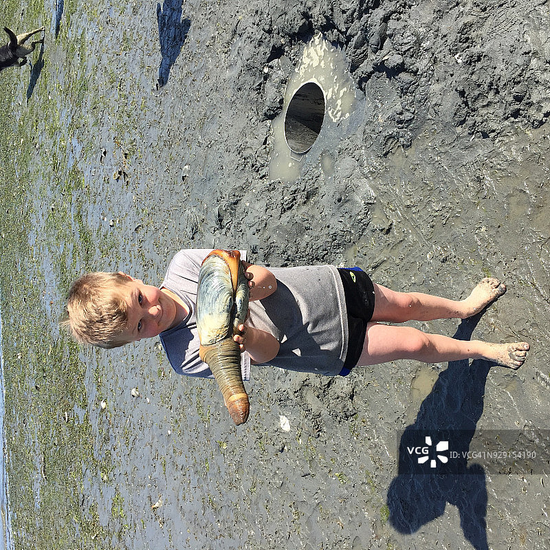 象拔蚌初见图片素材