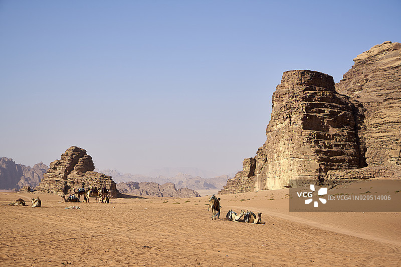 约旦瓦迪拉姆沙漠中的骆驼群图片素材