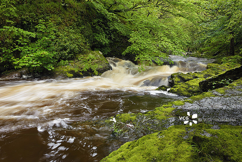 沃特斯米特附近的东林恩河，位于英国德文郡埃克斯穆尔国家公园图片素材