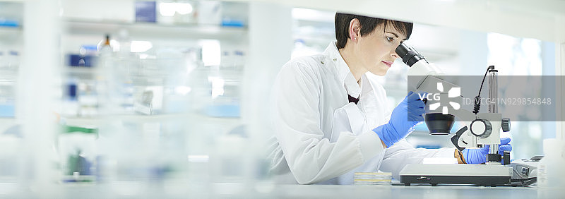 实验室里的科研人员图片素材