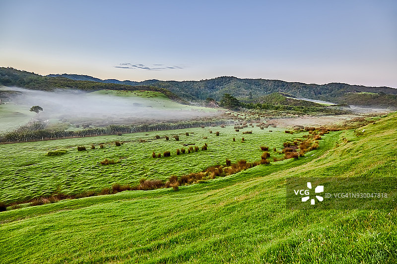 新西兰塔斯曼海角告别角，清晨时分连绵起伏的绿色牧场图片素材