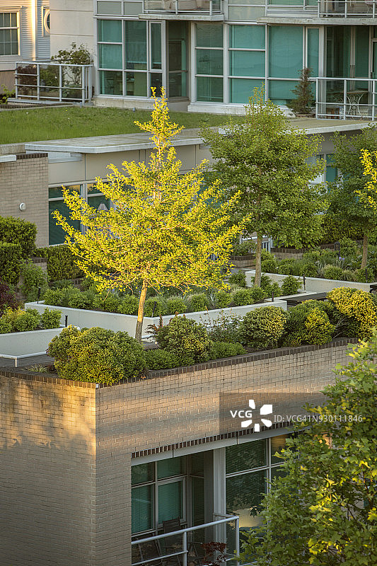 屋顶花园图片素材