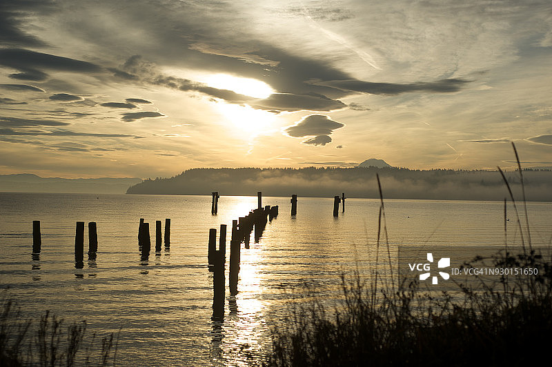 雷尼尔山图片素材