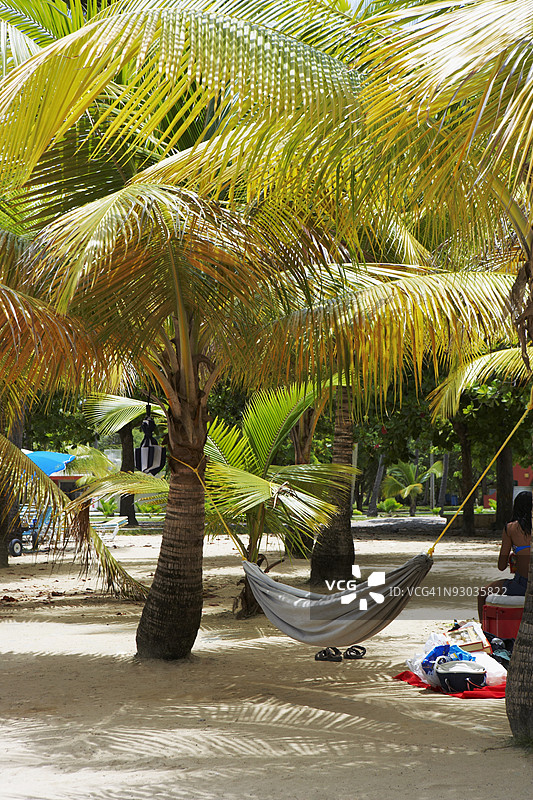 在波多黎各卢基略海滩，棕榈树之间悬挂着吊床图片素材