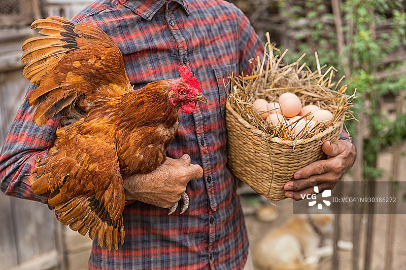农民抱着鸡和一篮鸡蛋图片素材