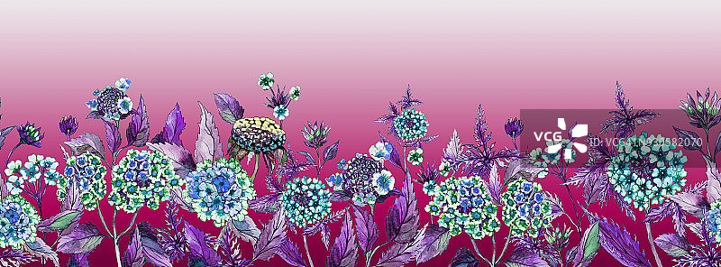 绚丽夏日横幅：粉色背景上紫叶马缨丹花，无缝全景花卉图案水彩画图片素材
