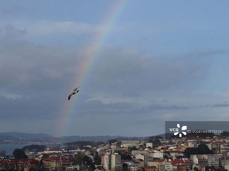 雨天的彩虹图片素材