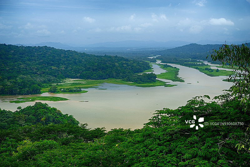 巴拿马甘博亚雨林图片素材