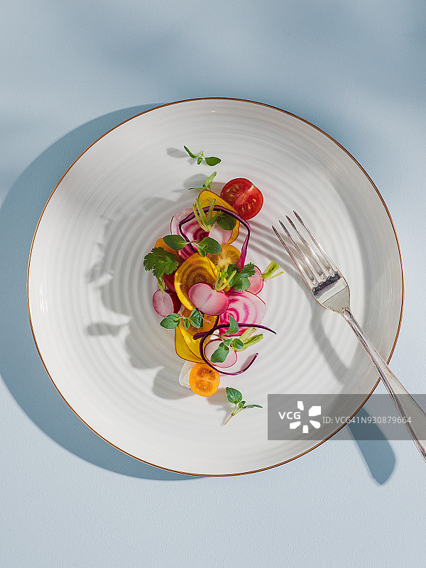 健康纯素美食：蔬菜根茎拼盘图片素材