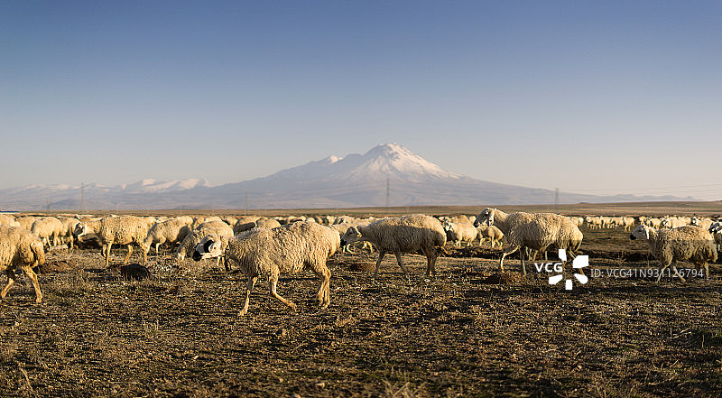 土耳其卡帕多奇亚日落景观图片素材