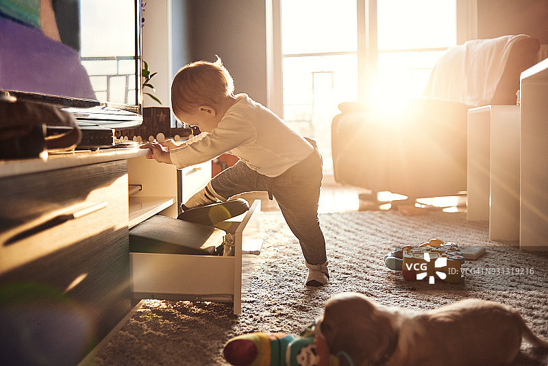 婴儿和小狗在家里玩耍图片素材