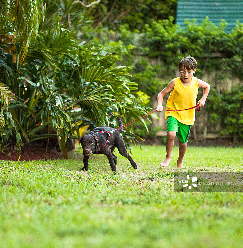 孩子和小拉布拉多犬一起奔跑图片素材
