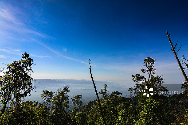 尼拉贡戈火山上的植被图片素材