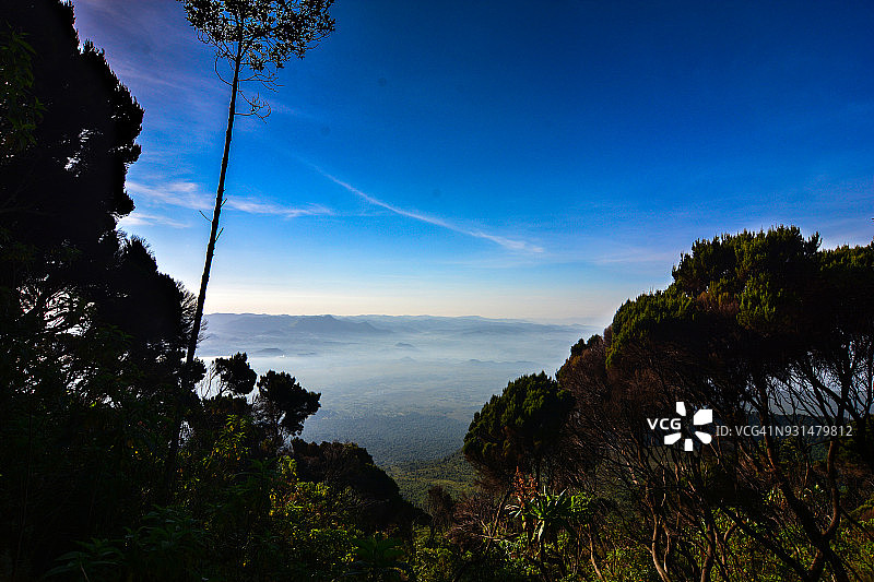 尼拉贡戈火山上的植被图片素材