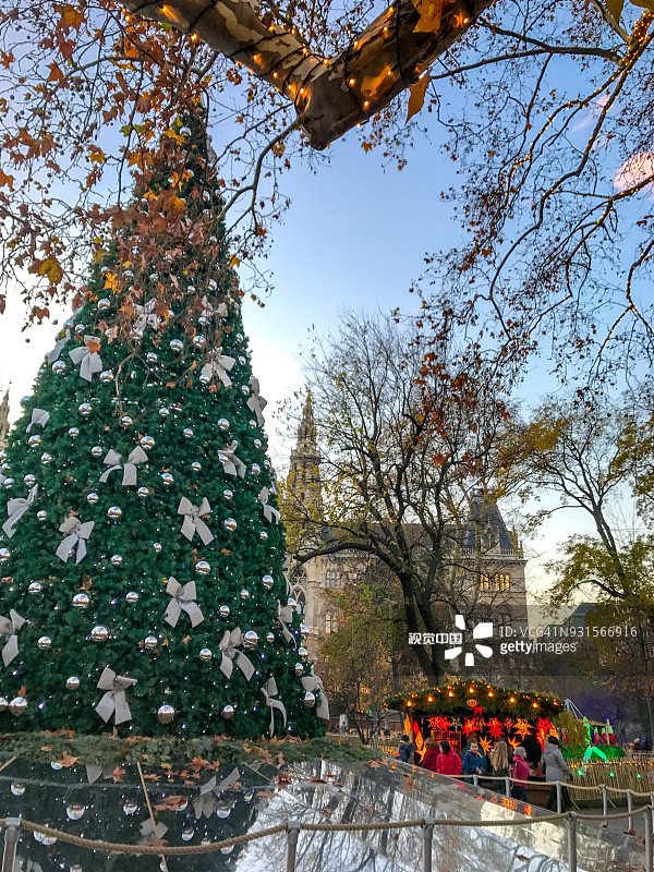 奥地利维也纳市政厅公园的圣诞树图片素材