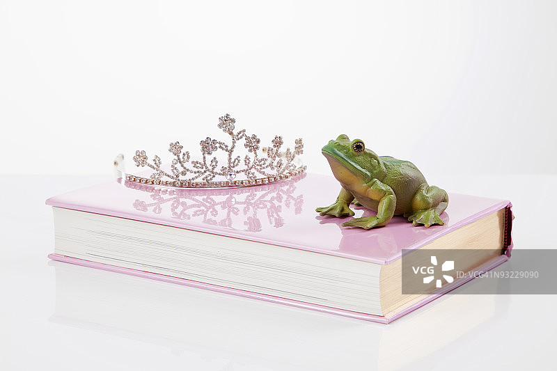 青蛙雕像和书上的皇冠图片素材