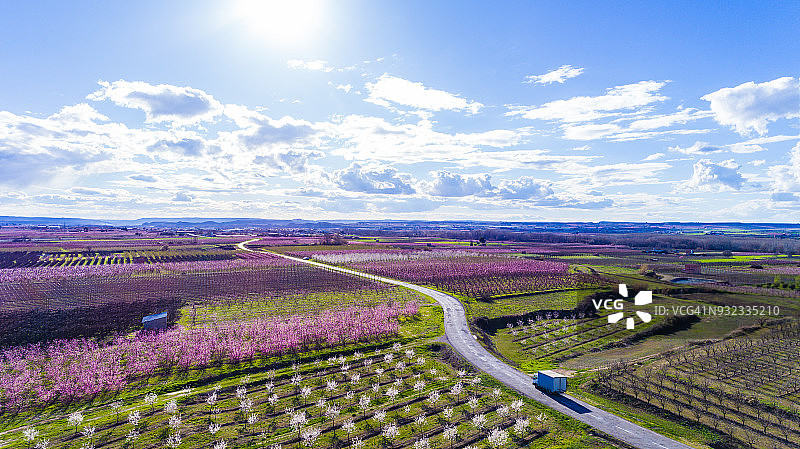 西班牙加泰罗尼亚莱里达的盛开的果树的航拍美景图片素材