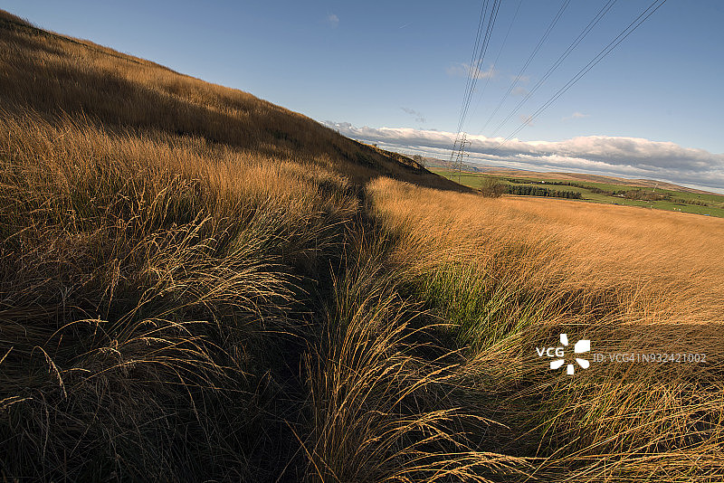狂野的风景和输电塔图片素材