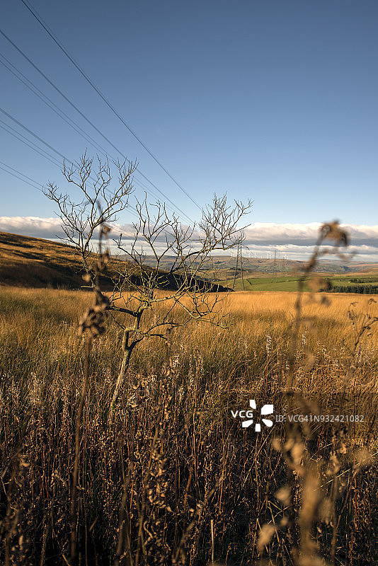 狂野的风景和输电塔图片素材