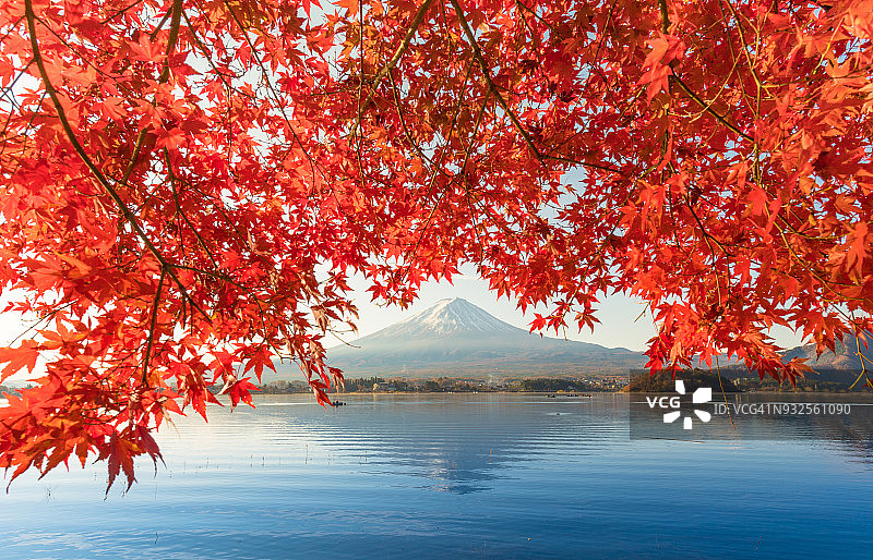 早晨的富士山和川口湖，秋季的富士山在山町。图片素材