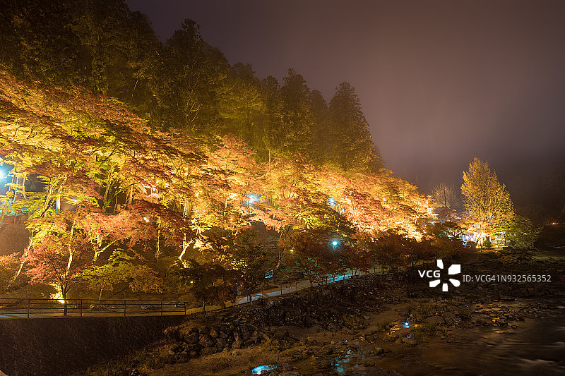 秋季的白丝瀑布与红绿枫树图片素材