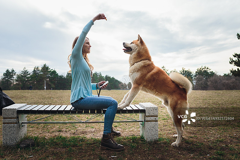 女人教她的狗一些技能图片素材