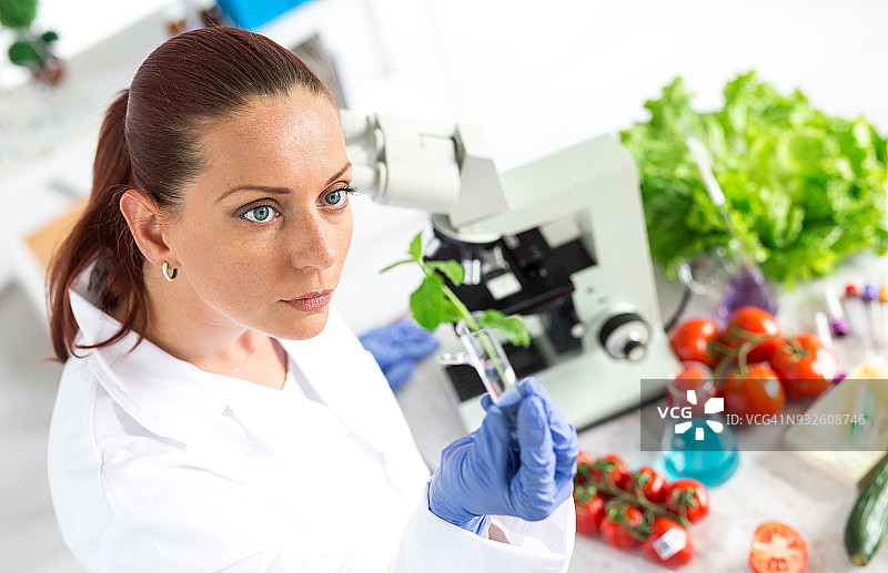 女实验室技术员检验蔬菜质量图片素材