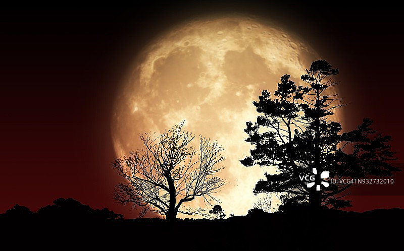 树后的超级月亮插图图片素材