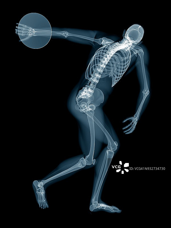 铁饼运动员骨骼系统插图图片素材