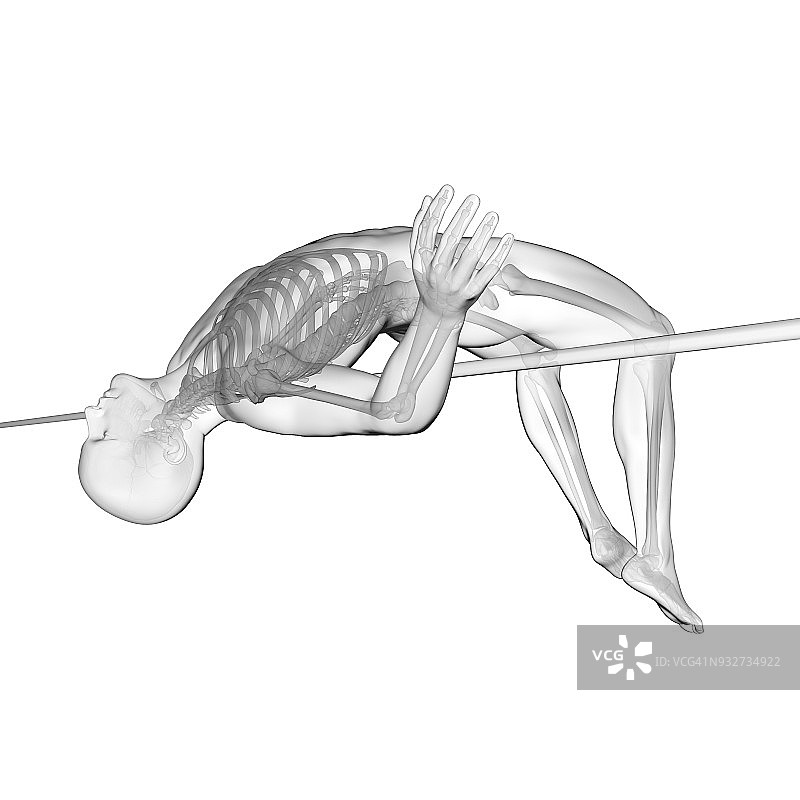 跳高运动员骨骼系统插图图片素材