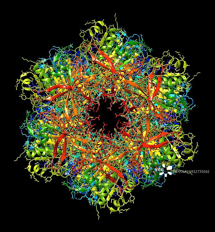 生物钟分子模型图片素材
