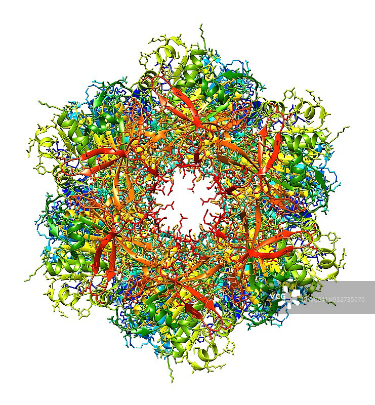 生物钟分子模型图片素材