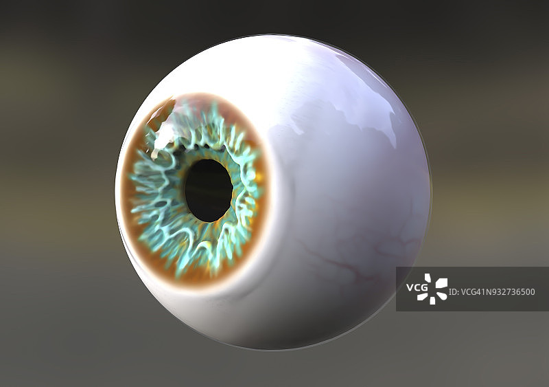 人眼插画图片素材