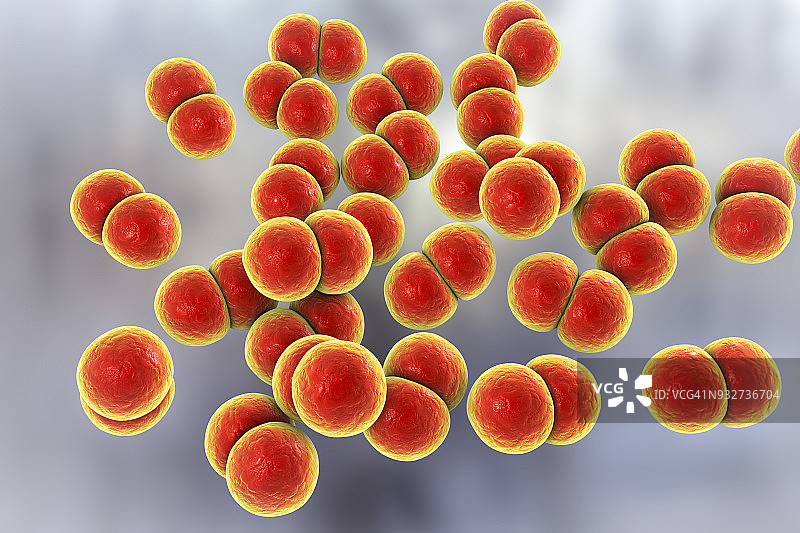 淋病奈瑟菌细菌，图示图片素材