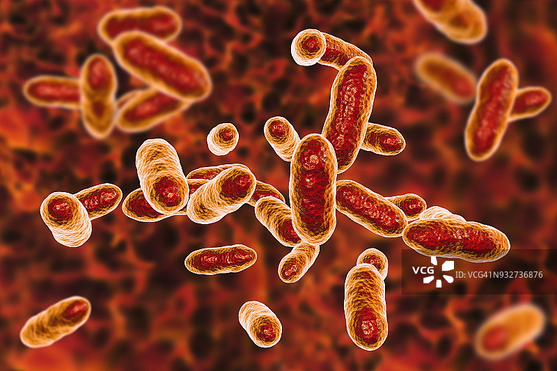 福赛斯坦纳菌细菌图示图片素材