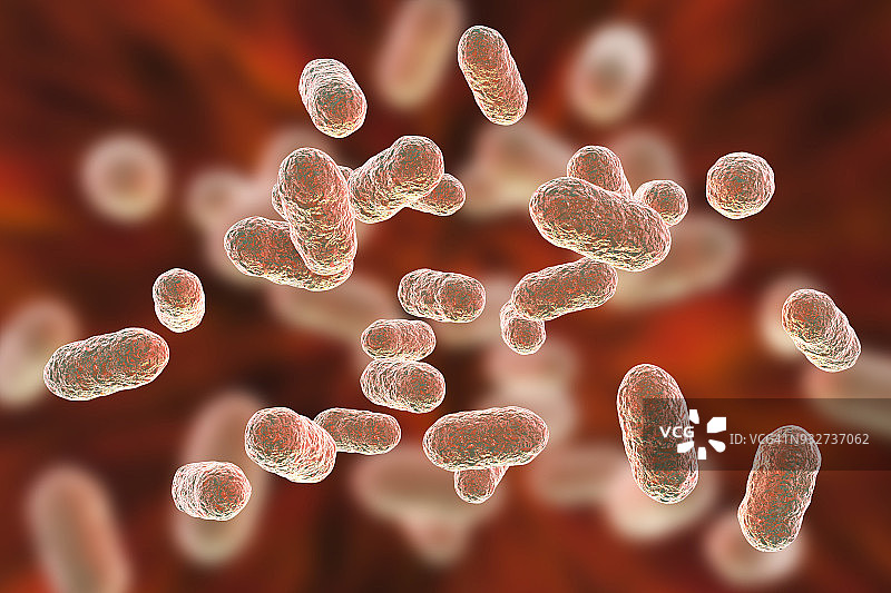 牙龈卟啉单胞菌口腔细菌插图图片素材
