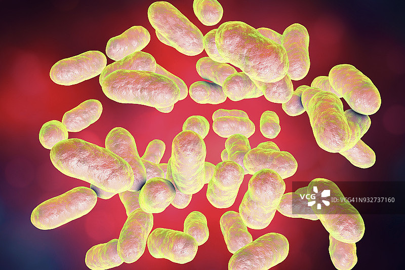 普雷沃菌细菌，图示图片素材