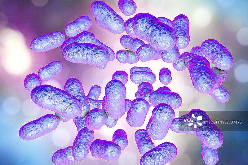 普雷沃菌细菌，图示图片素材