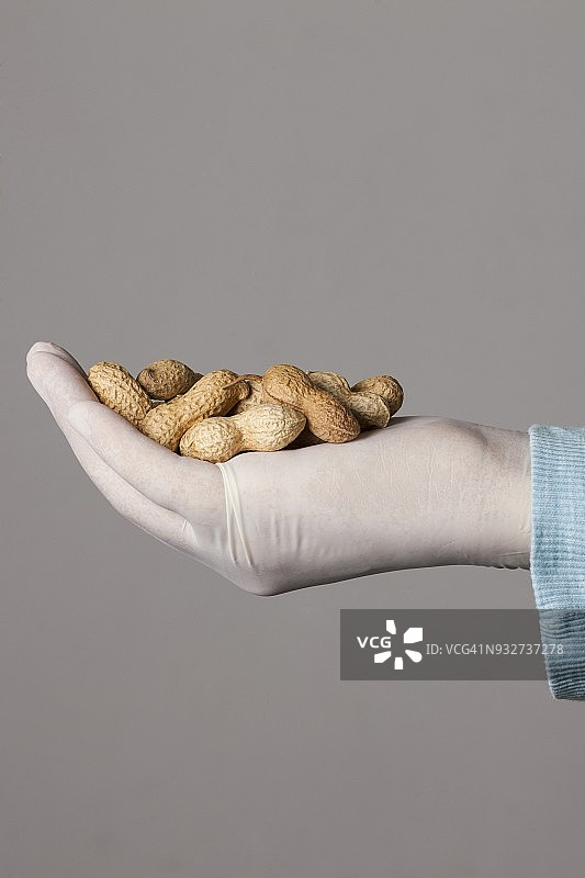 人拿着花生图片素材
